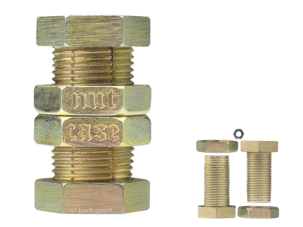 Metall Cast Puzzle Nutcase